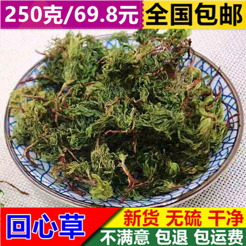 干品回心草正宗云南中药材250g包邮大叶藓茴薪草铁脚一把伞茴心草 - 封面