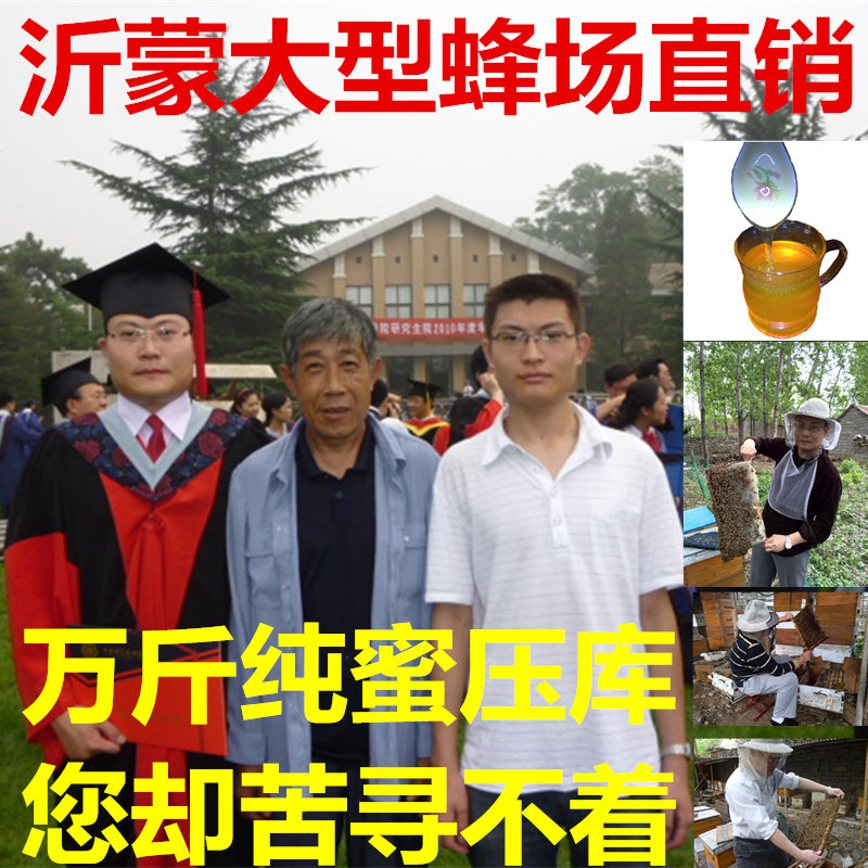 丹参蜜沂蒙高浓度天然成熟蜜刘长坤32年400箱蜂场自产42波美度