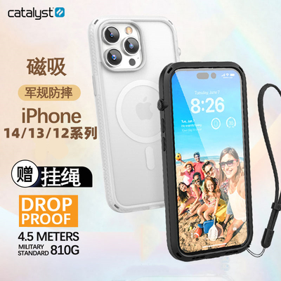 苹果12/13/Promax简约