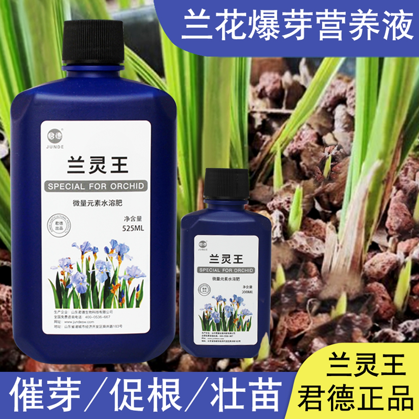 灵王兰花专用有机营养液肥料em