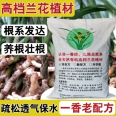 一香牌兰花专用土蝴蝶兰花专用植料石斛君子兰种兰花专用 营养土