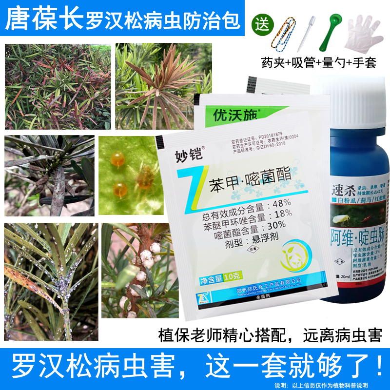 罗汉松病虫防治包杀虫杀菌