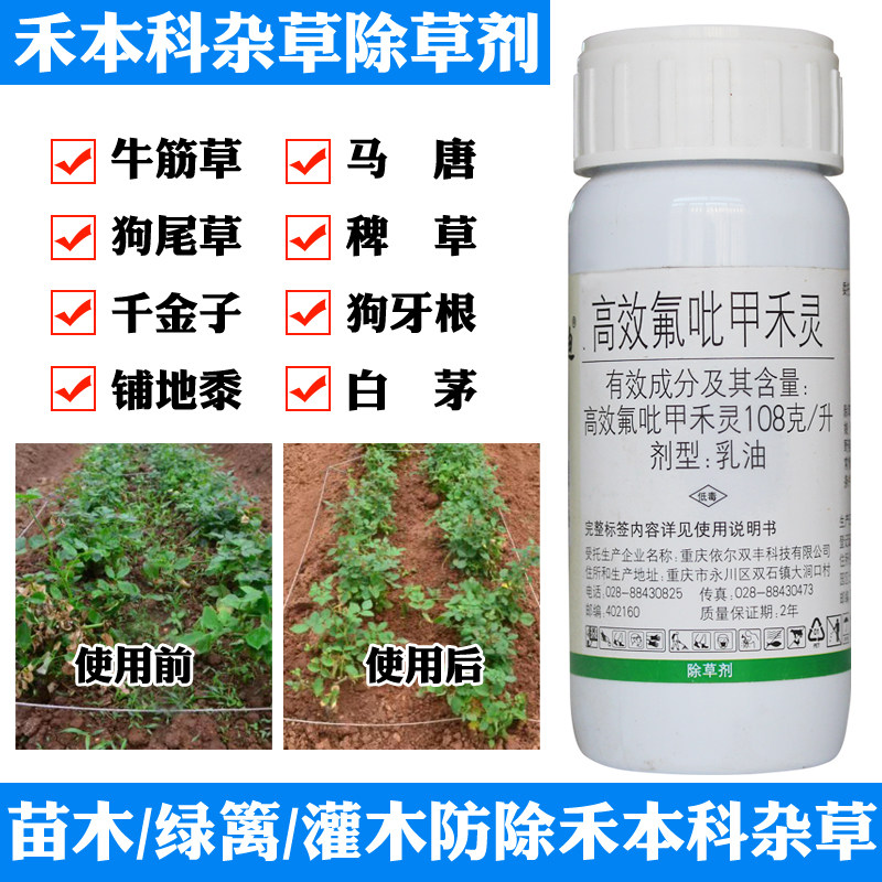 国光均合迪除草剂阔叶草坪麦冬绿篱苗圃除牛筋草马唐禾本科杂草