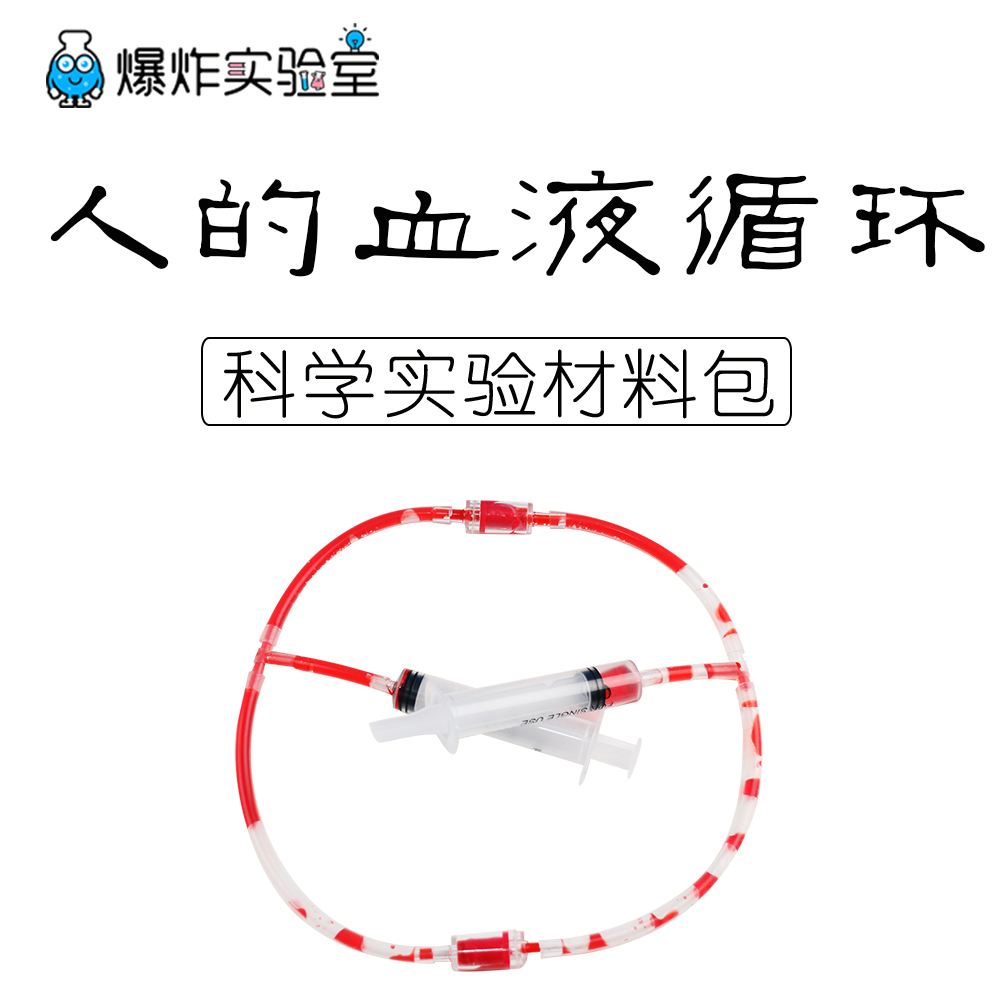 diy器材模型幼儿园科技小制作