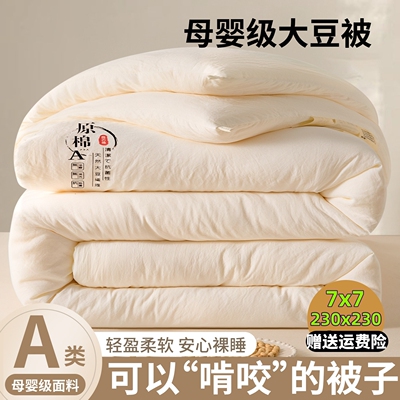 夏被160x210大豆纤维子母被芯230x230加厚保暖春秋被双人加大7乘7