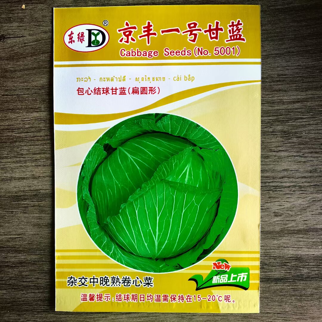 京丰一号甘蓝种子高产杂交秋播阳台蔬菜种子四季春季秋季包菜种子