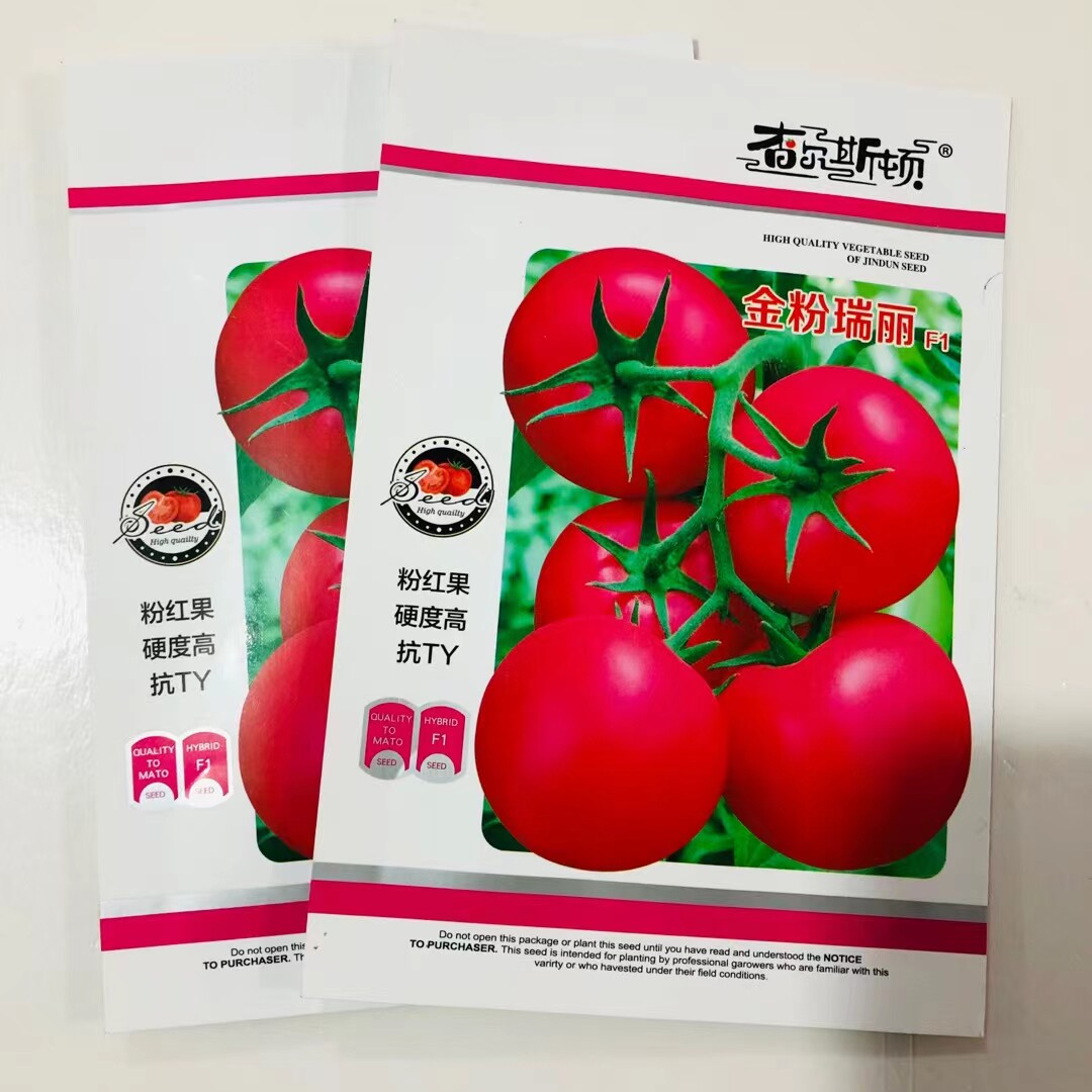 金粉瑞丽西红柿种子大果沙瓤无菌高产抗病耐寒蕃茄盆栽蔬菜种籽