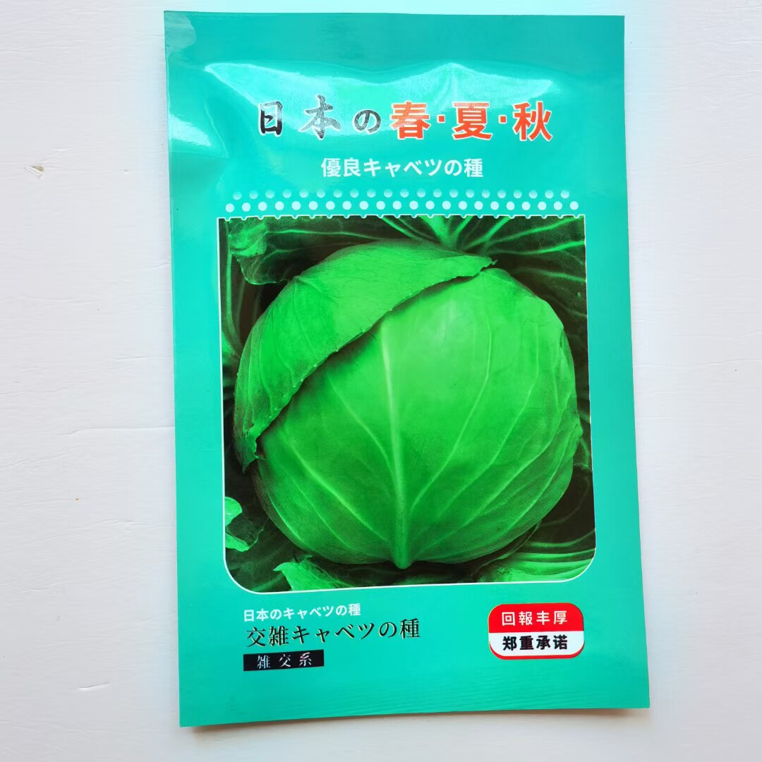 日本春夏秋甘蓝种子籽中早熟耐热耐寒耐裂抗病高产平包扁包包菜籽