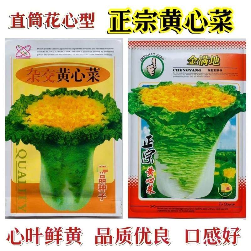 金满地种子正宗黄心菜种子直筒花心型杂交黄心大白菜种籽秋季蔬菜,农用物资,蔬菜种子/种苗,淘宝优惠券,粉丝福利购,淘宝优惠卷