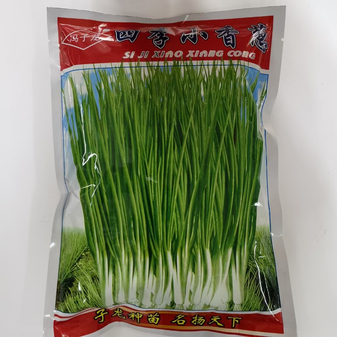 四季小香葱种子种籽苗秧蔬菜孑阳台盆栽春季秋季种植,鲜花速递/花卉仿真/绿植园艺,家庭园艺种子,淘宝优惠券,粉丝福利购,淘宝优惠卷
