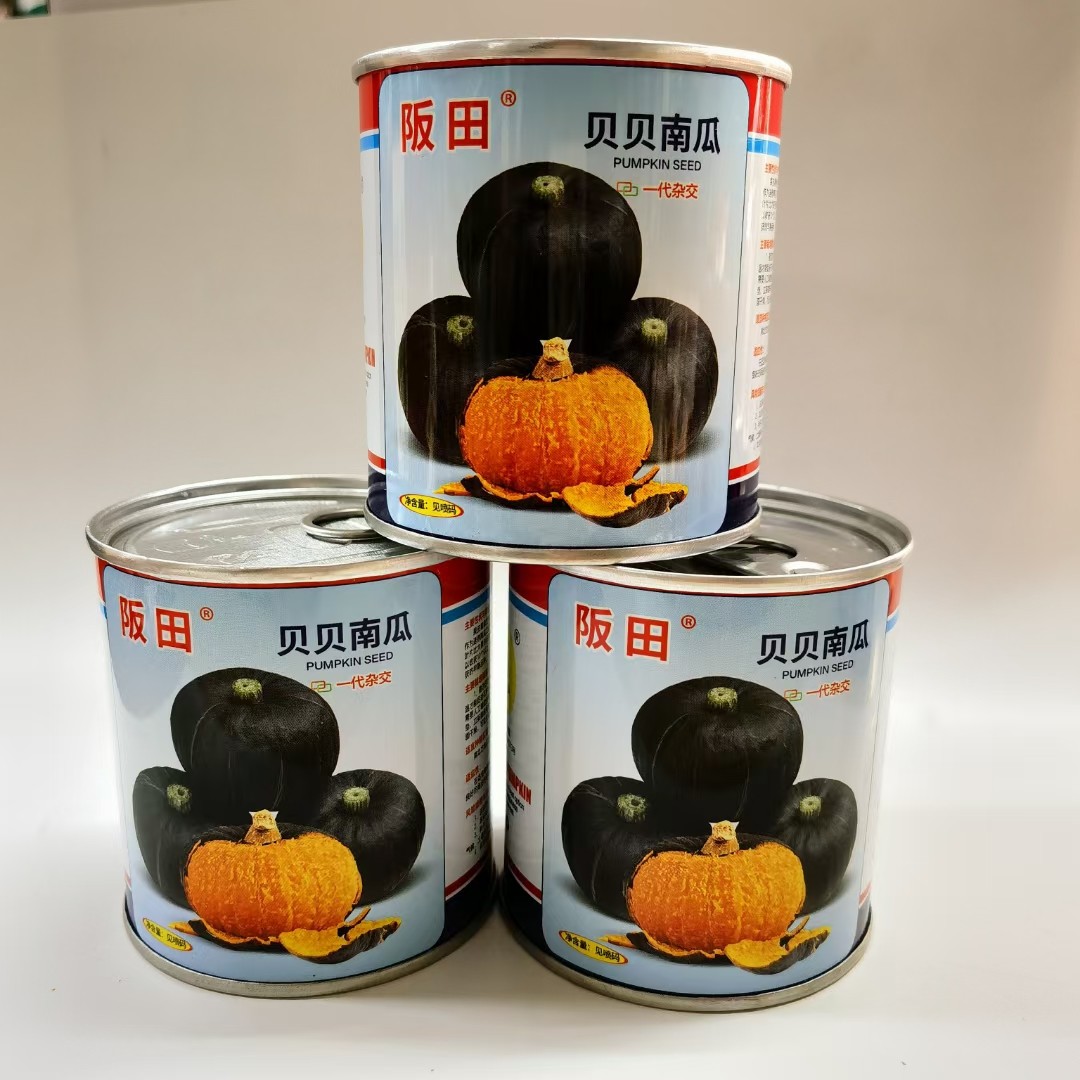 坂田贝贝南瓜种子粉糯香甜口感好高产抗病品质超群迷你小南瓜种孑,鲜花速递/花卉仿真/绿植园艺,家庭园艺种子,淘宝优惠券,粉丝福利购,淘宝优惠卷