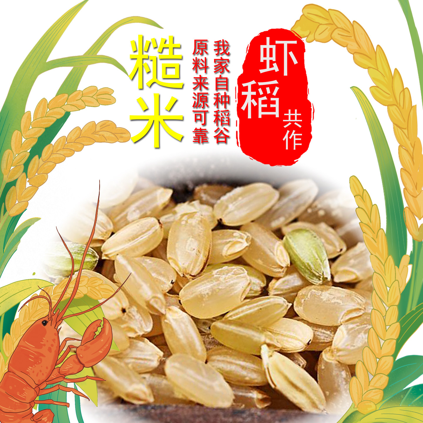 全胚芽糙米可发芽新粗粮五谷杂粮