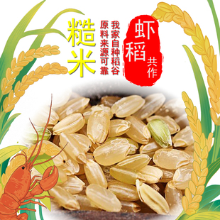 糙米小包装一到十斤五谷杂粮纤维粗粮粳稻圆粒可发芽糙米全胚芽米