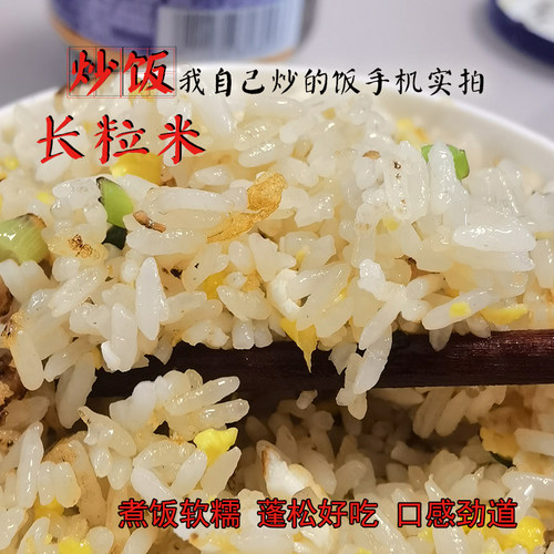 江苏洪泽大米籼米杂交米新猫牙米
