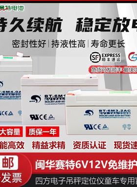 赛特蓄电池BT-6M4.5AC/6V4.5AH电子吊秤12A7A儿童车定位仪12V电瓶