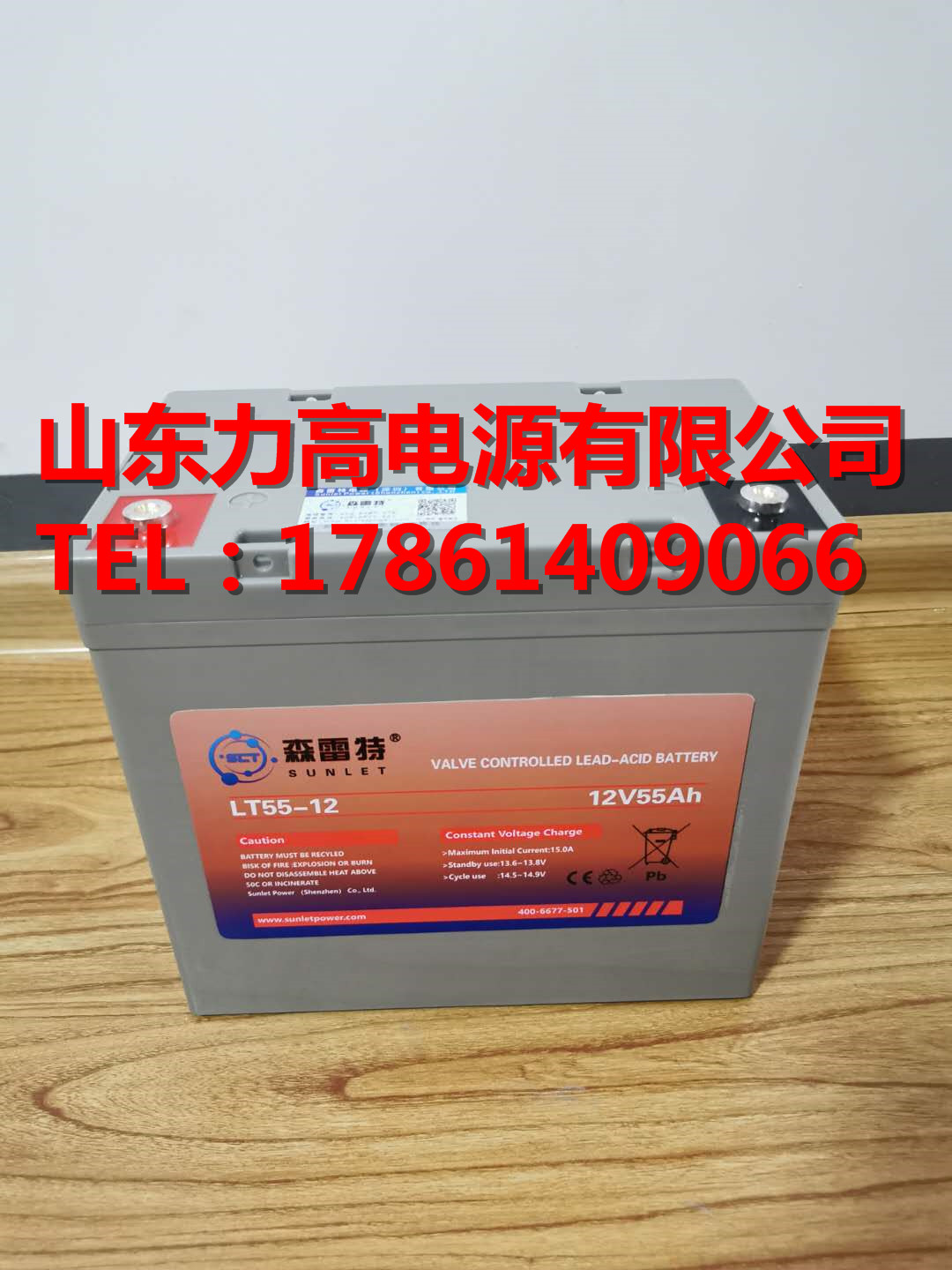 森雷特蓄电池 LT55-12后备铅酸电瓶 12V55AH机房设备代步车蓄电池