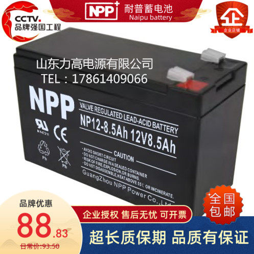 企业店铺NPP蓄电池免维护五年店!