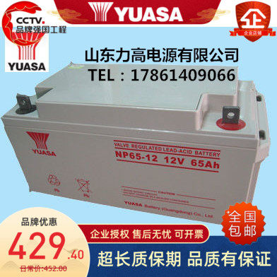 YUASA汤浅蓄电池NP65-12机房不间断电池12V65AH直流屏UPS铅酸电池