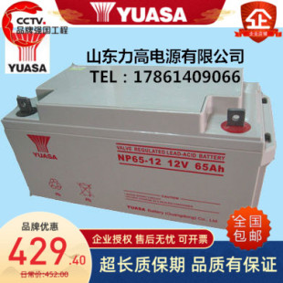 YUASA汤浅蓄电池NP65-12机房不间断电池12V65AH直流屏UPS铅酸电池