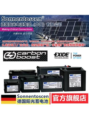 ●【阳光旗舰店】德国阳光蓄电池