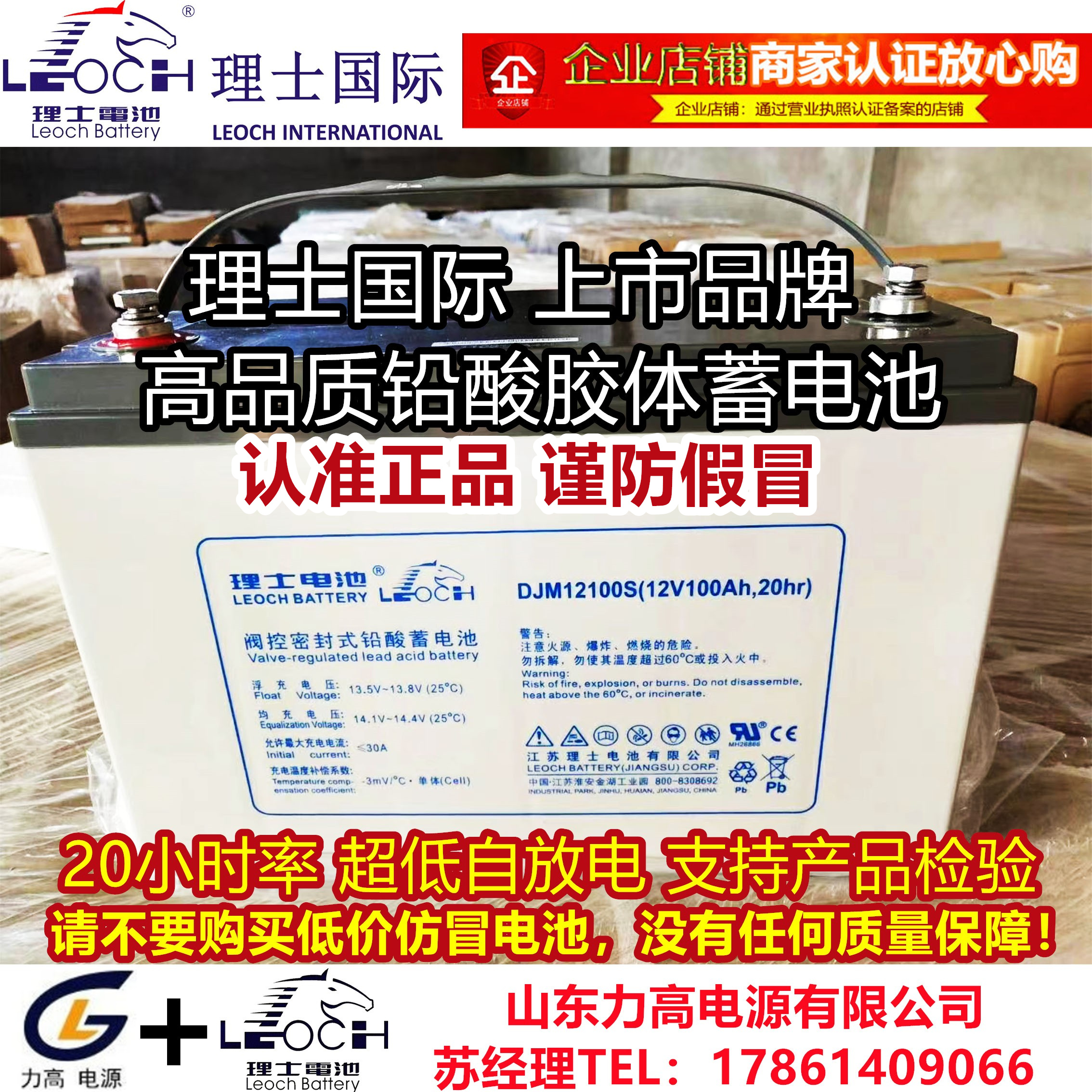 【官方旗舰店】LOECH/理士蓄电池