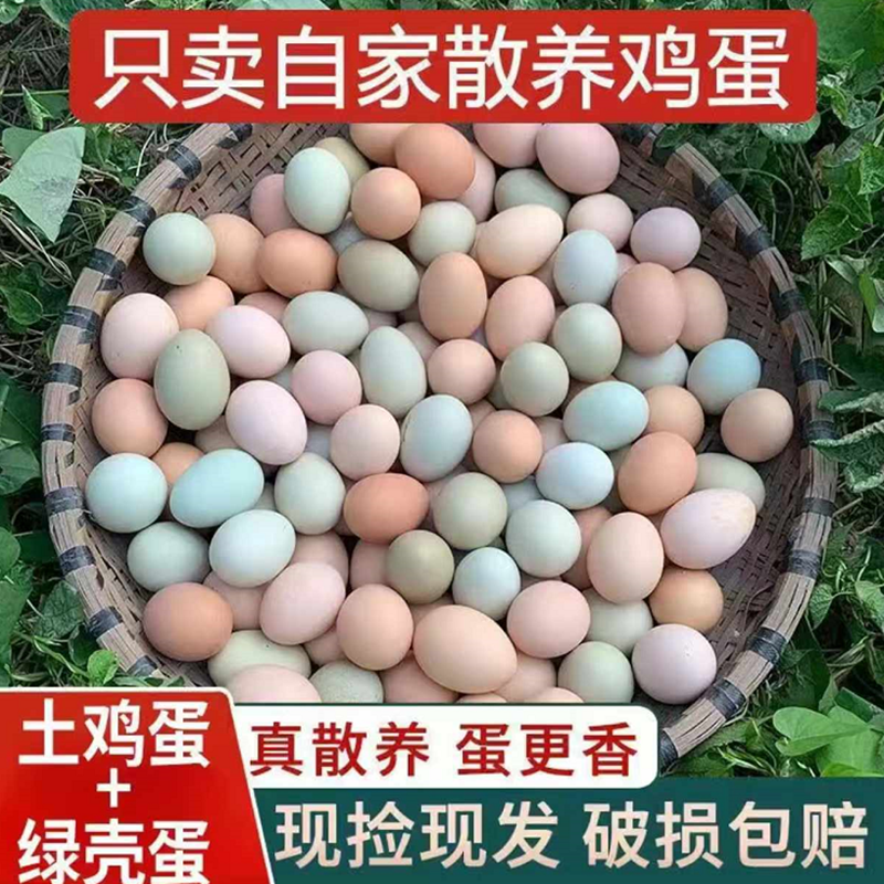 东北农村鸡蛋农家散养鸡笨鸡蛋纯笨鸡蛋30个土鸡蛋自己家养笨鸡蛋
