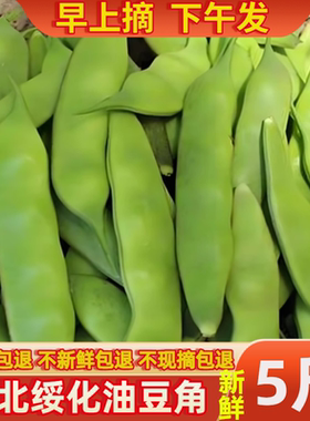 2026年东北现摘头茬新鲜绿油豆角小油豆角黄金勾一点红大宽油豆