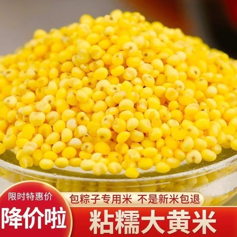 今年东北大黄米新米黍米黏粘黄米包粽子农家糯小米杂粮粘糯黑龙江