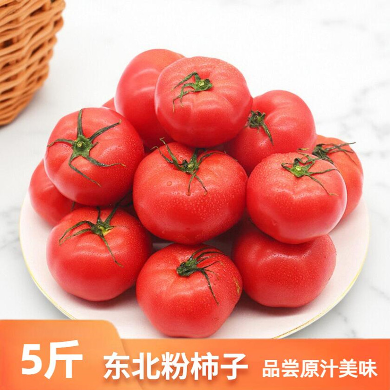 东北原味柿子西红柿铁皮草莓柿子5斤自然成熟番茄柿子红柿子新鲜