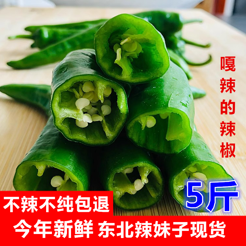东北2025年新辣椒正宗辣妹子辣椒