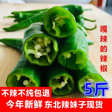 东北小辣椒现摘辣妹子辣椒青椒新鲜尖椒嘎嘎辣青菜朝天椒做辣椒酱