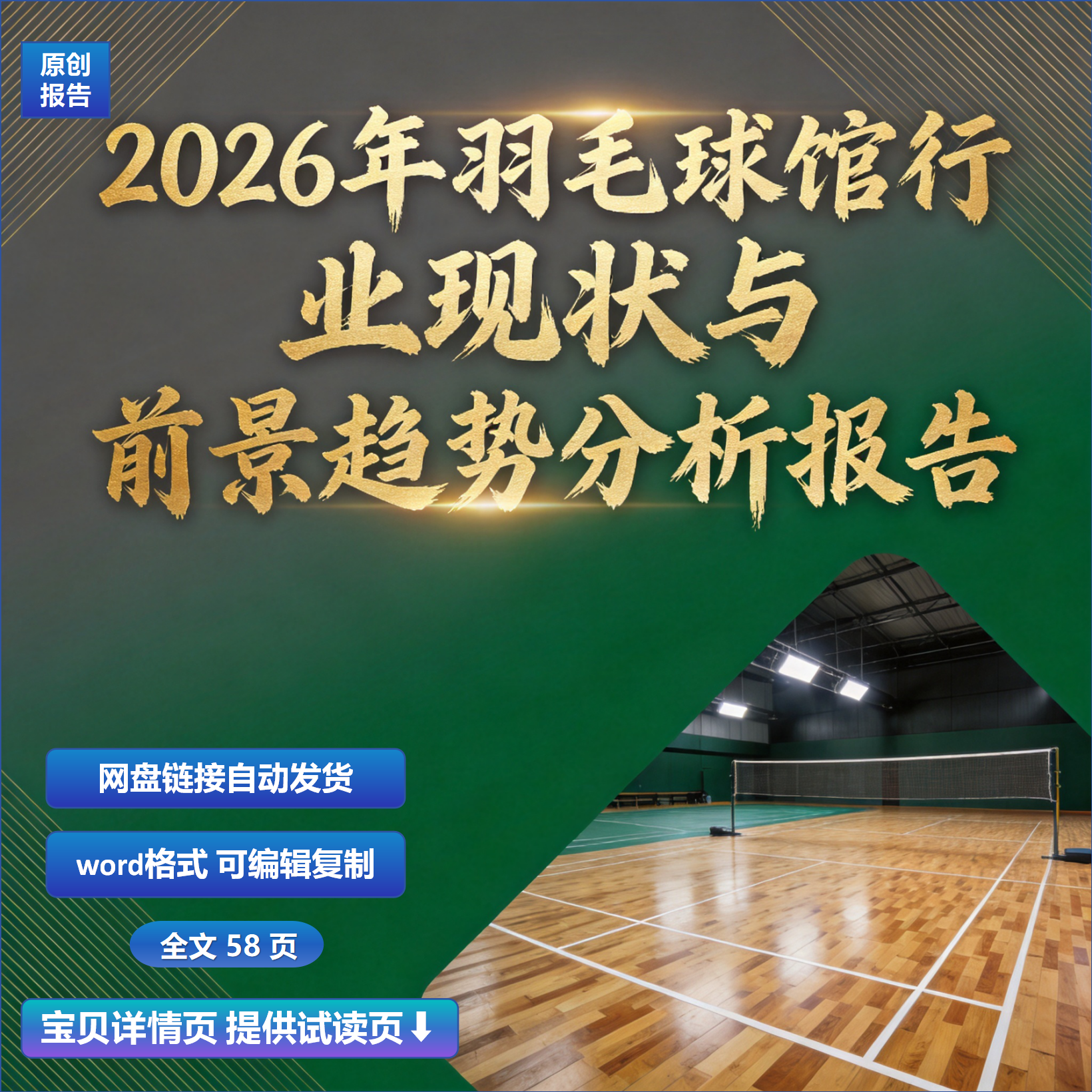 2026年羽毛球馆行业现状与前景趋势分析报告