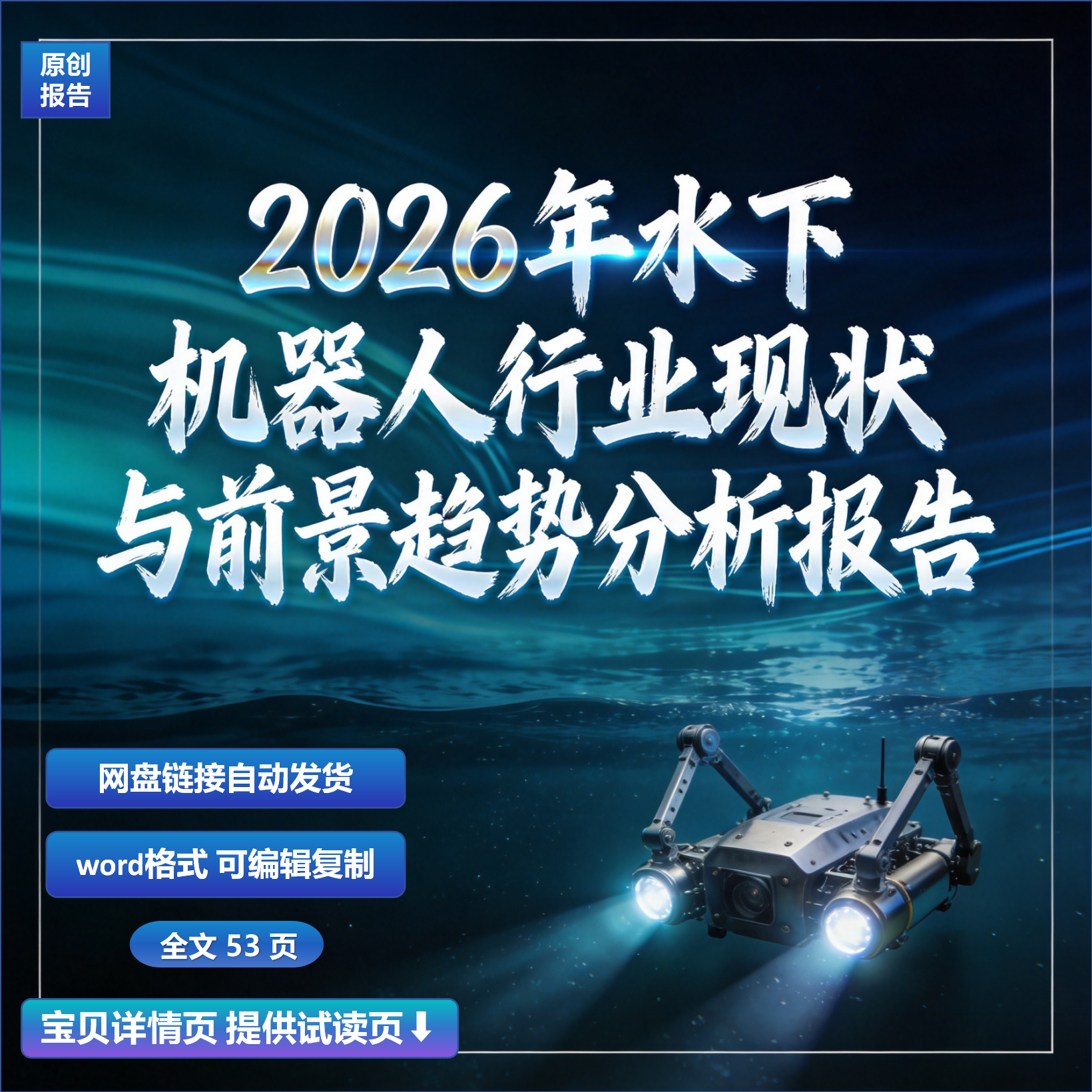 2026年水下机器人行业现状与前景趋势分析报告