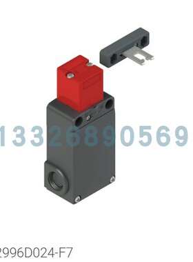 FS 2996D024-F7 PIZZATO安全门开关FS2996-F7原装正品