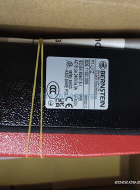 博恩斯坦F1-U1Z 606.1100.005脚踏开关