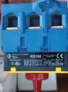 KG64.KG100.T203隔离开关KG100 T204/01 E