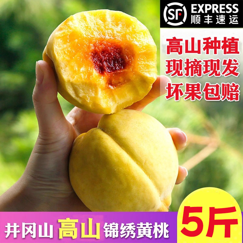 井岡山黃桃新鮮現(xiàn)摘現(xiàn)發(fā)10斤禮盒裝紅心脆桃水果高山錦繡黃桃包郵