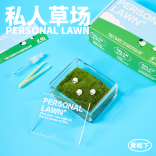 RELAX 私人草场苔藓微景观创意盆栽送男女朋友企业生日礼物 SOUL