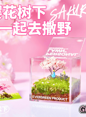 RELAX SOUL-私人草坪苔藓微景观创意盆栽送男女朋友闺蜜生日礼物