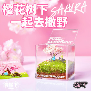 RELAX 私人草坪苔藓微景观创意盆栽送男女朋友闺蜜生日礼物 SOUL