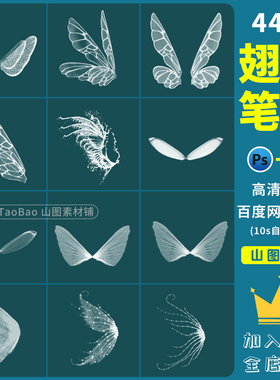 ps笔刷素材procreate笔刷白色梦幻发光仙女精灵翅膀蜻蜓蝴蝶翅膀