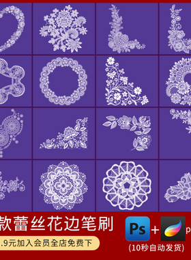 白色镂空蕾丝花边ps笔刷刺绣纺织服装花边辅料装饰procreate笔刷