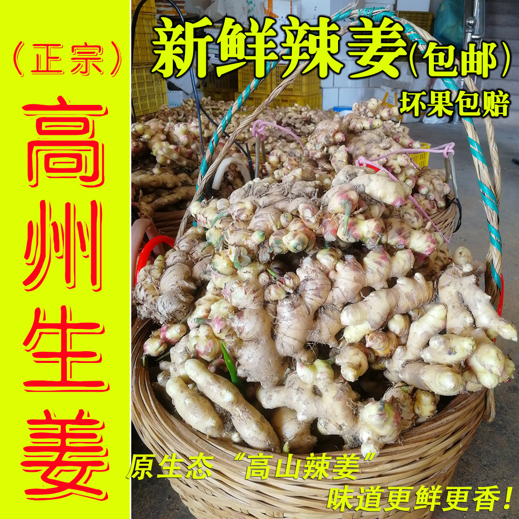 新鲜大黄姜3斤5斤农户直发辣姜菜姜生姜月子嫩老姜种姜包邮