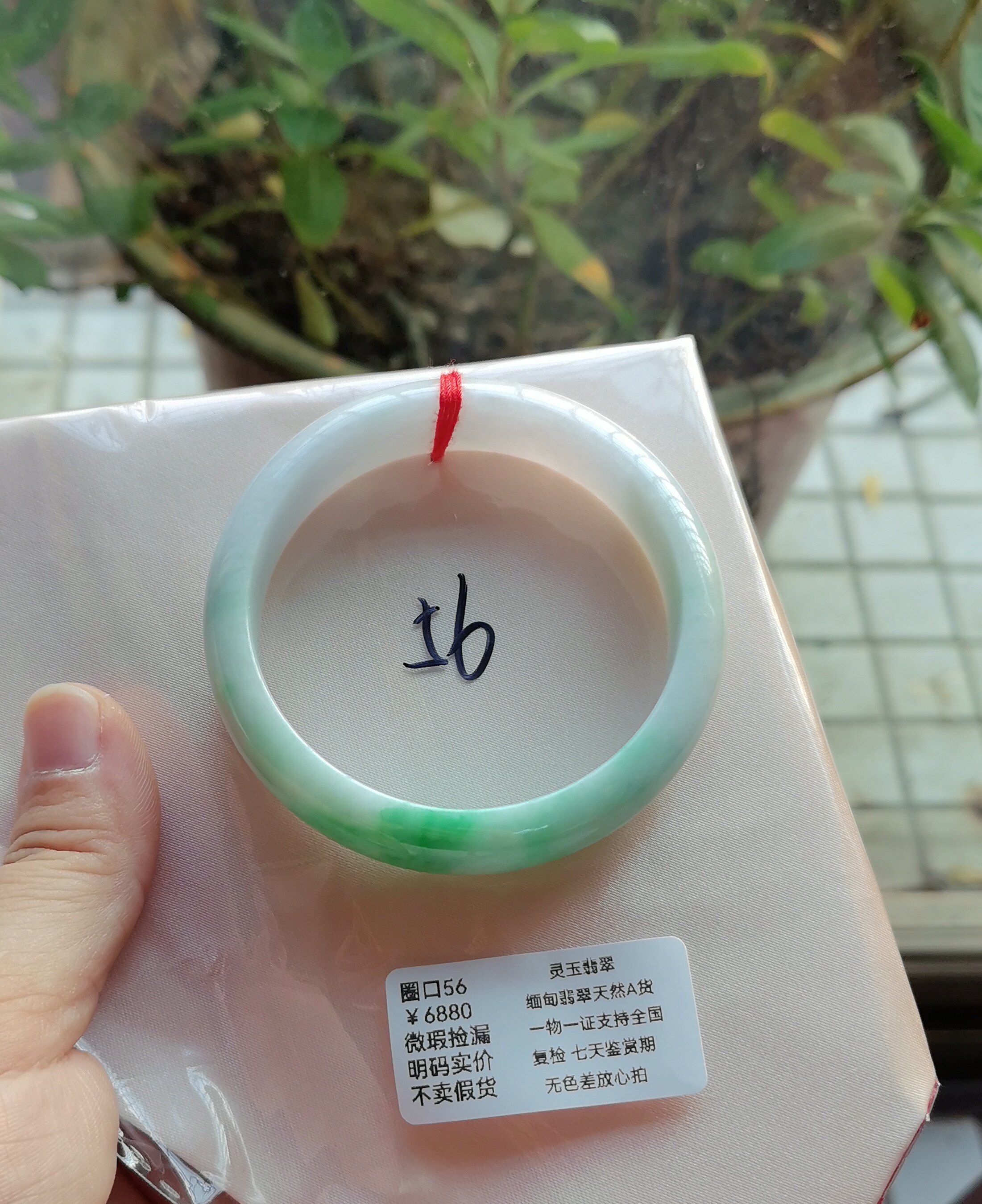 正品缅甸天然翡翠A货玉镯阳绿手手镯