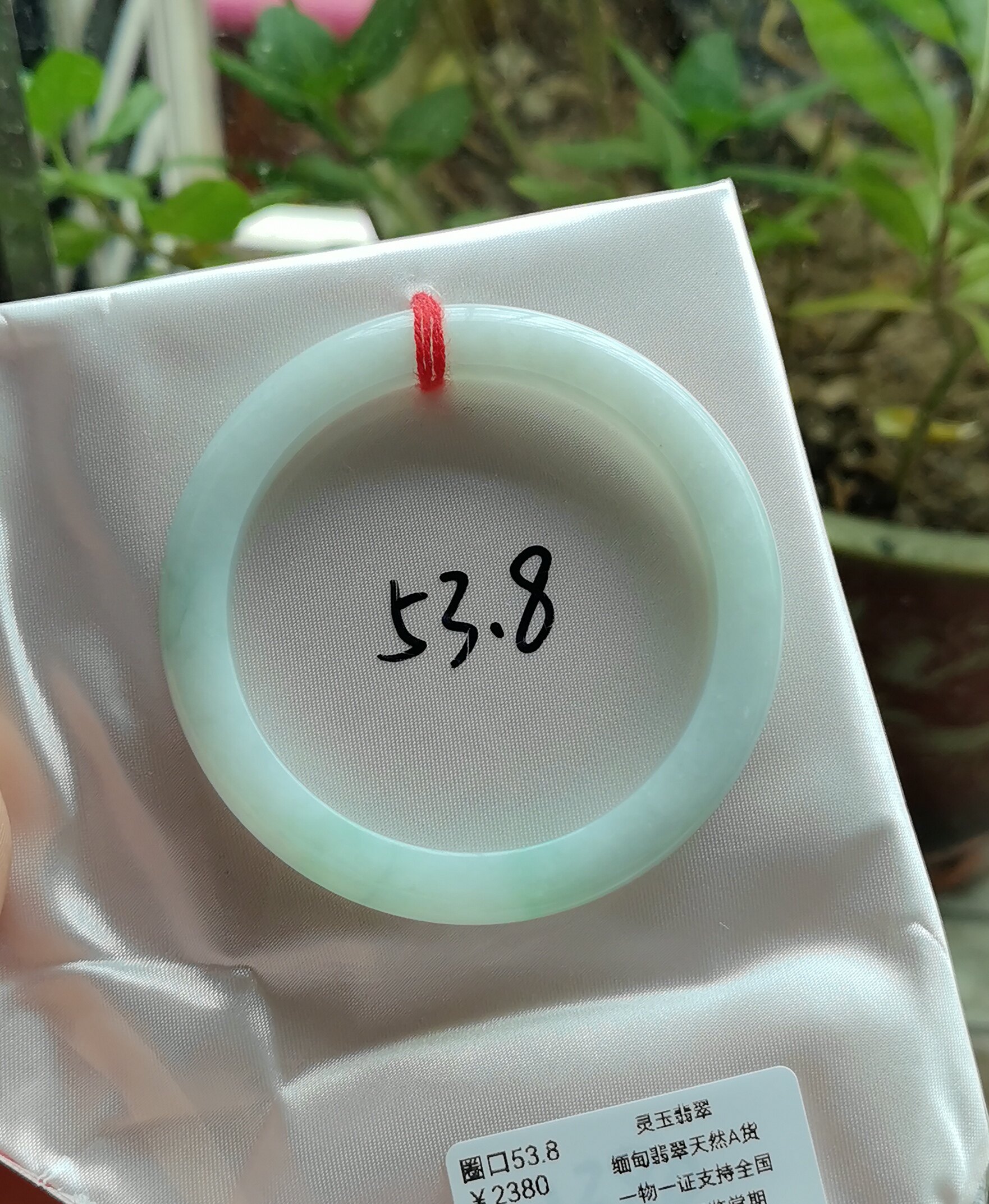 正品缅甸天然翡翠A货玉镯美人条窄条手镯无纹裂 带证书圈口53.8