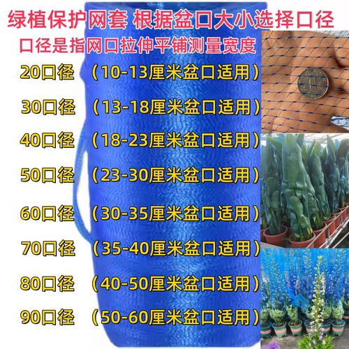 植物保护网绿植收缩网蓝色网套