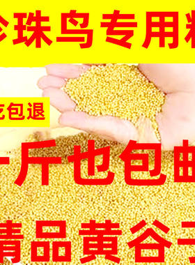 1斤新黄谷子带壳优质小米鸟食玄风食物粮食虎皮鹦鹉饲料鸟粮