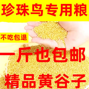 1斤新黄谷子带壳优质小米鸟食玄风食物粮食虎皮鹦鹉饲料鸟粮