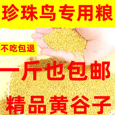 1斤新黄谷子带壳优质小米鸟食玄风食物粮食虎皮鹦鹉饲料鸟粮