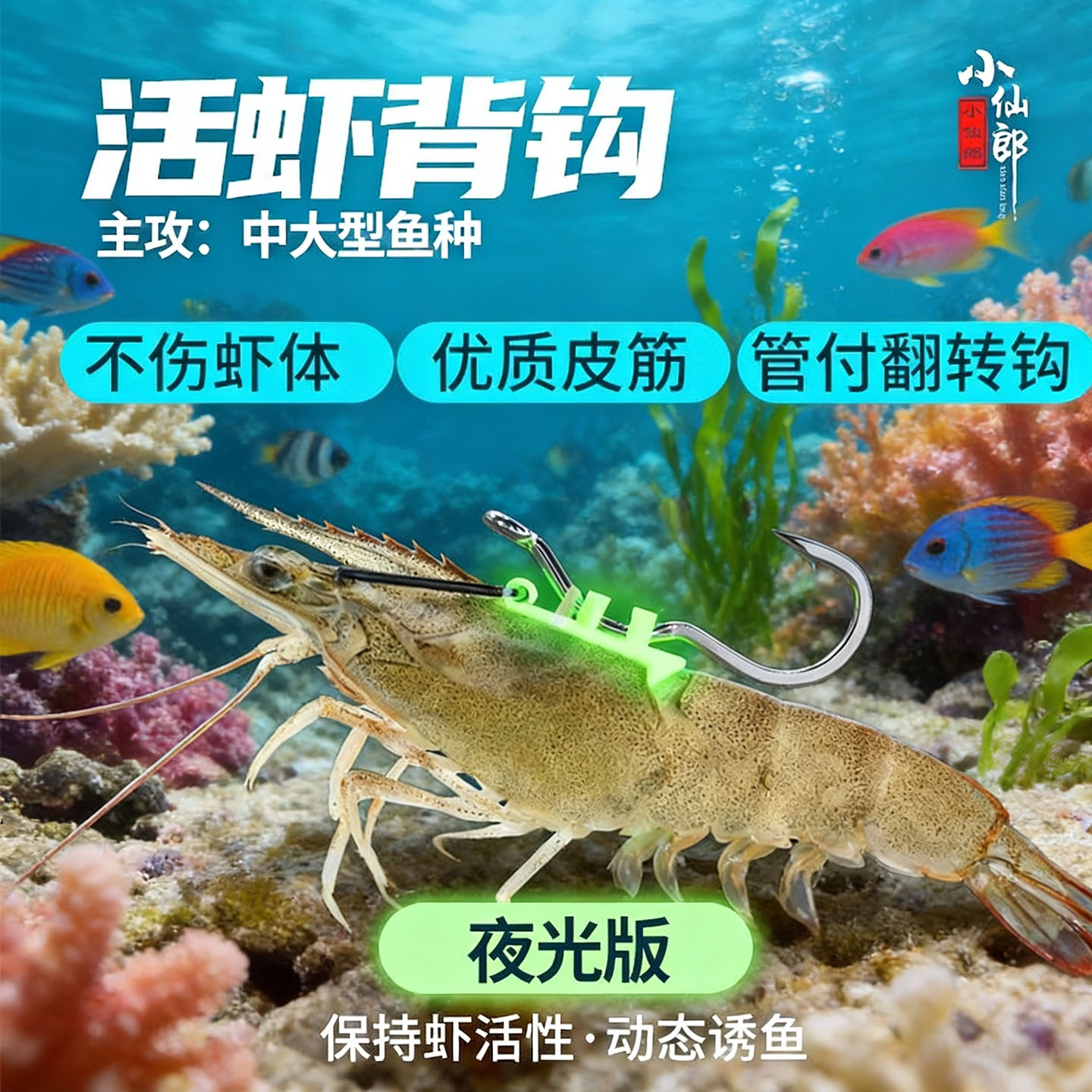 小仙郎活虾背钩夜光版挂虾钩矶钓路亚海钓鲈鱼石斑鱼专用钓组配件图片